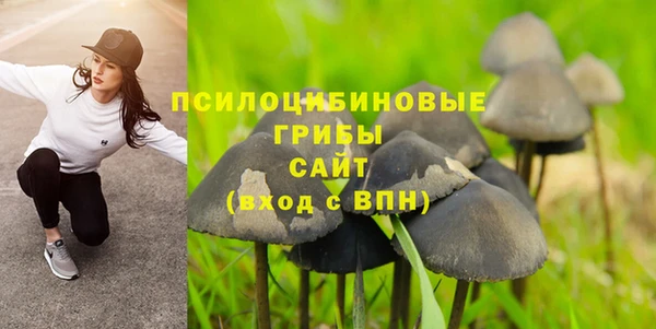 стаф Алексеевка