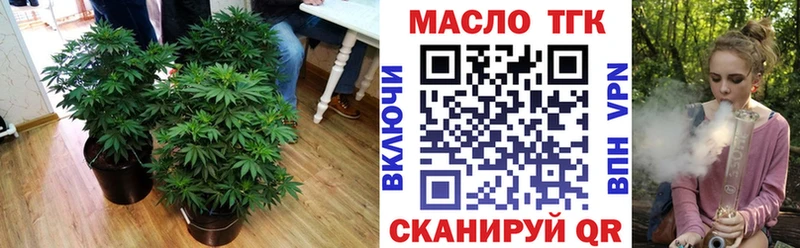 ТГК гашишное масло  MEGA tor  Лесосибирск  купить наркотик 